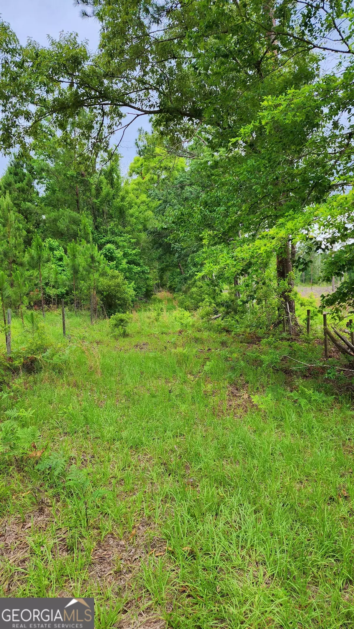 Clyo, GA 31303,776 Mt Pleasant RD