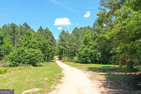 Lexington, GA 30648,977 Sandy Cross RD