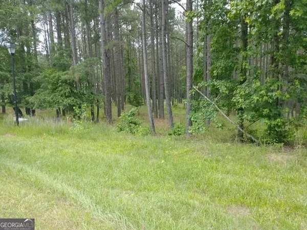 Lincolnton, GA 30817,1084 Shelter Cove