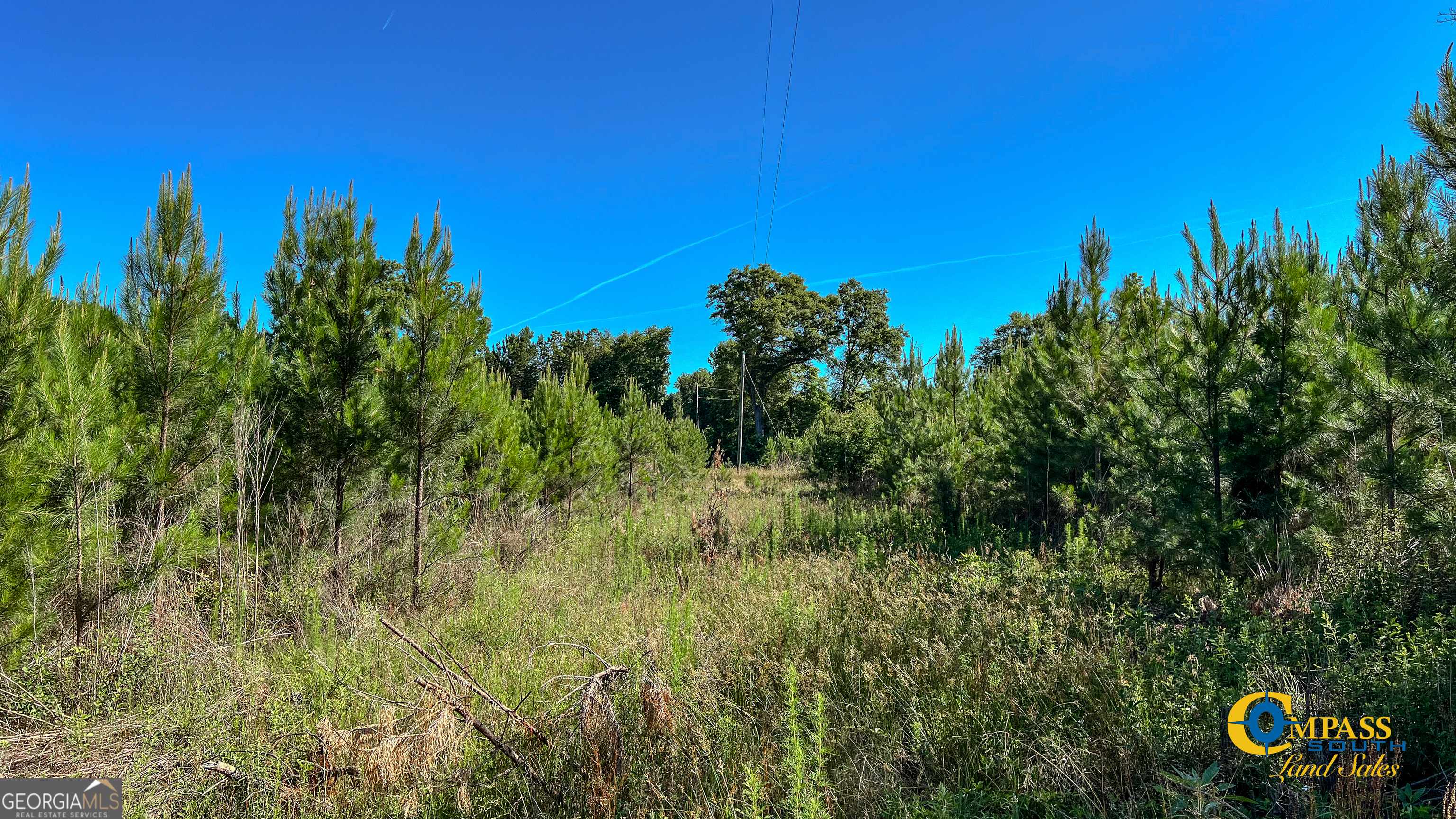 Ideal, GA 31041,0 Marvis Chapman RD