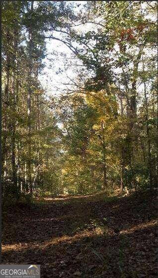 Juliette, GA 31046,1047 Ponder Trammell RD