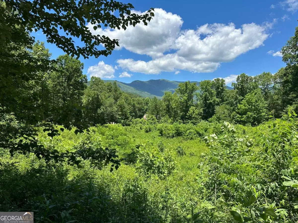 Hayesville, NC 28904,LT 87-88 Shiloh Stables