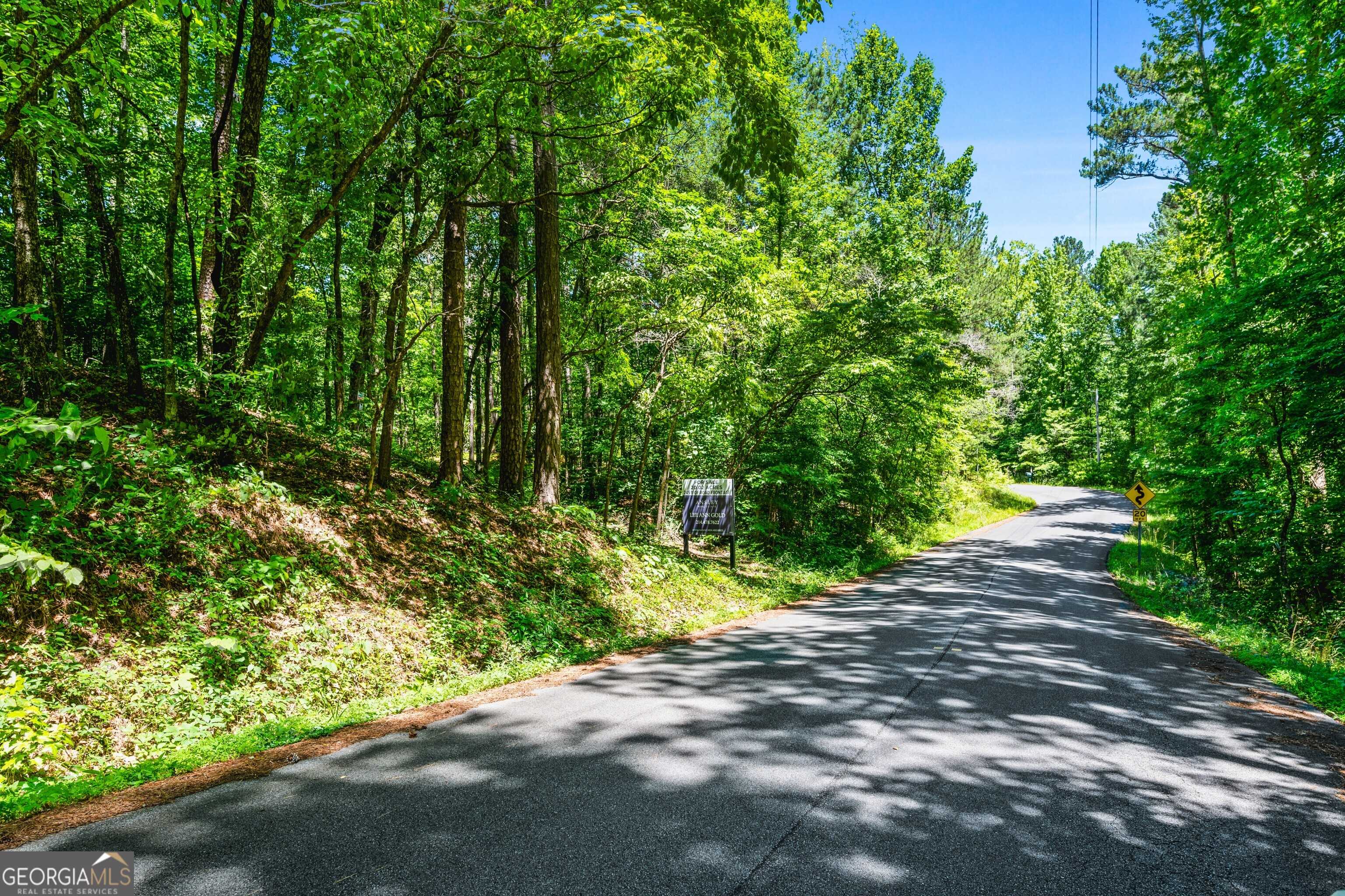 Dallas, GA 30157,0 Rock Springs PASS