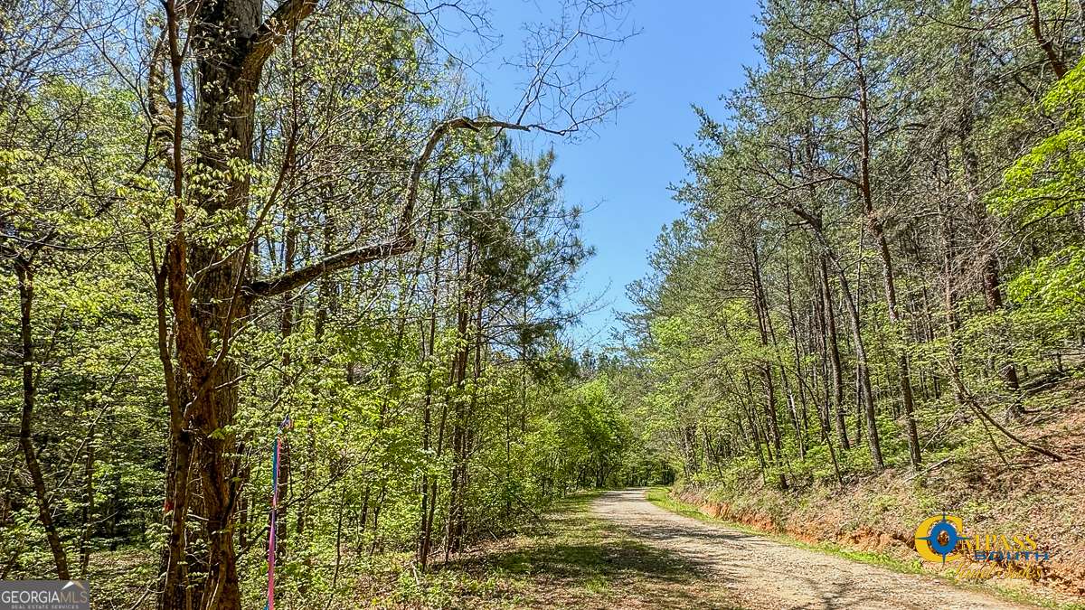 Fairmount, GA 30139,0 Shirley Road RD SE
