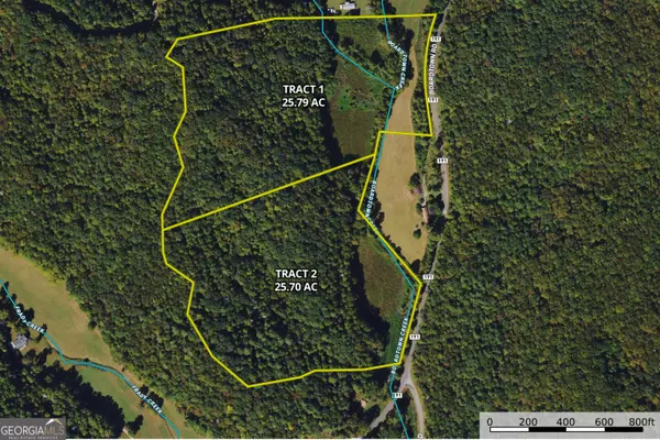 Cherry Log, GA 30522,0 Boardtown RD #TRACT 2