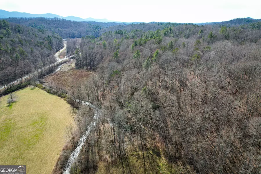0 Boardtown RD #TRACT 2, Cherry Log, GA 30522
