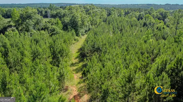 Buena Vista, GA 31803,0 Welch RD
