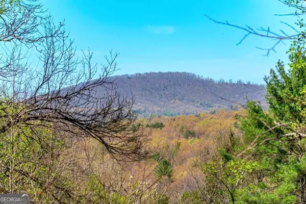 LOT 43 Dusty Danno, Mineral Bluff, GA 30559