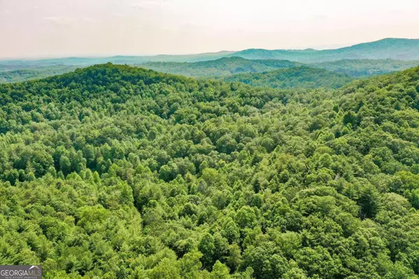 Ellijay, GA 30540,0 Flagpole Circle