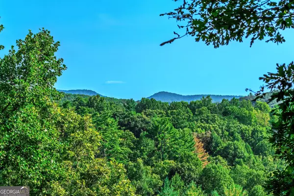 Morganton, GA 30560,LOT 9 Deer Haven DR