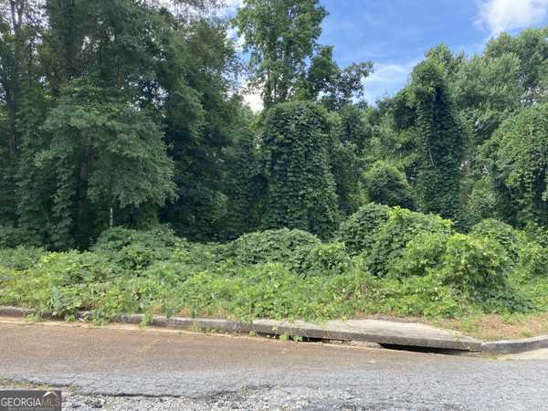 0 Hannah CT #LOT 14, Barnesville, GA 30204