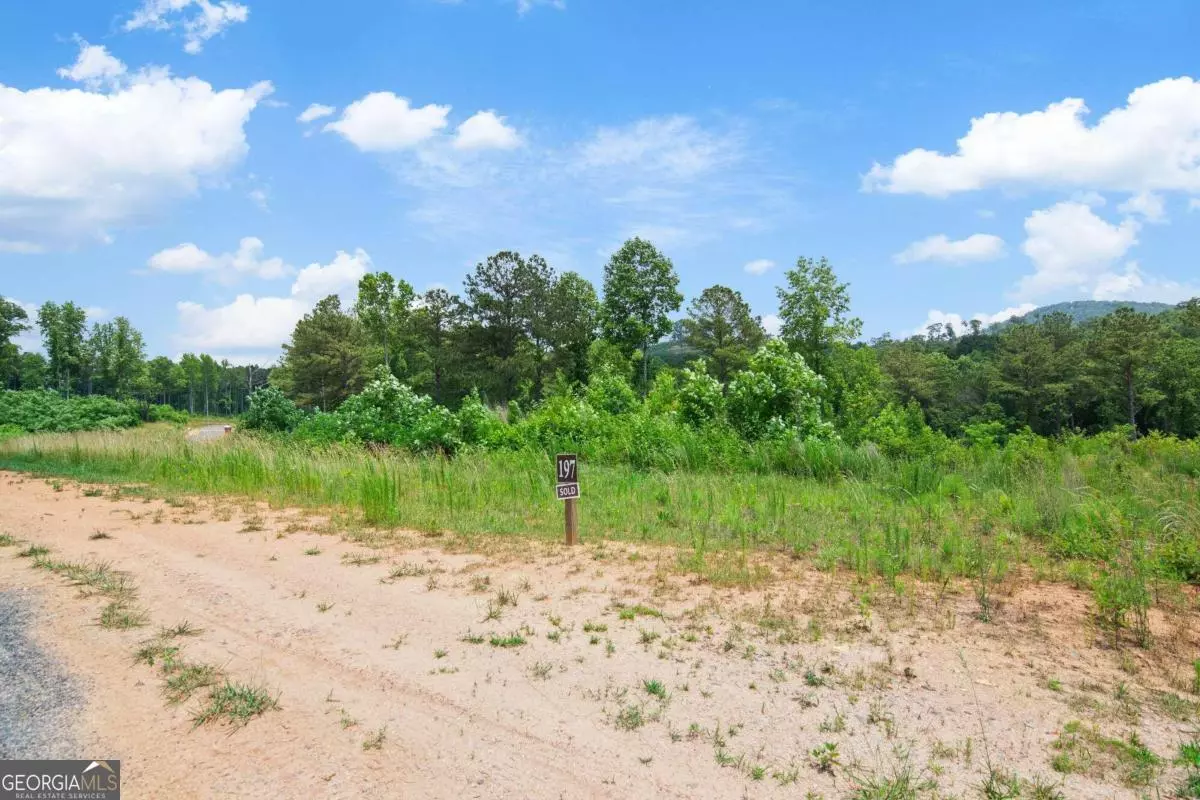Talking Rock, GA 30175,LOT 197 Oak Park DR