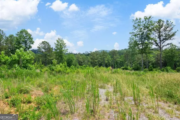 Talking Rock, GA 30175,LOT 197 Oak Park DR