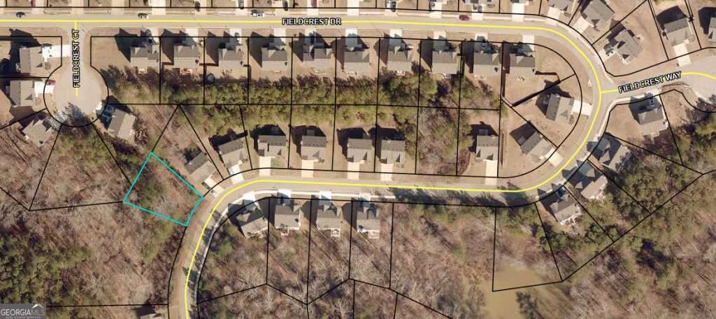 Dallas, GA 30132,438 Fieldcrest DR