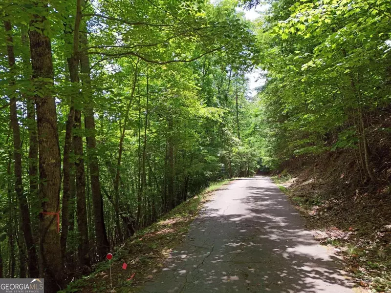 LOT 30 Hidden Summit RD, Hiawassee, GA 30546