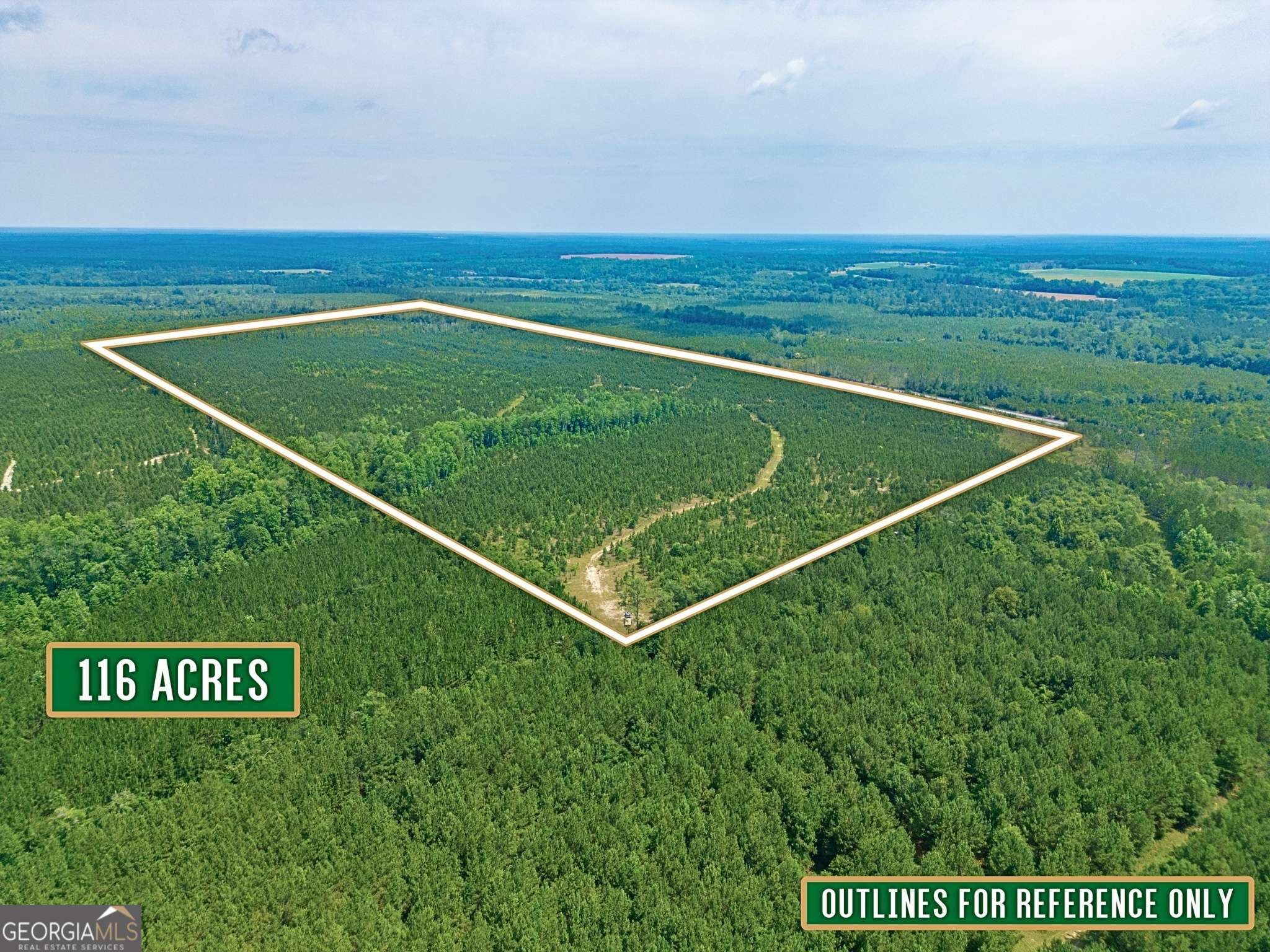 0 Towns Livingston RD, Lumber City, GA 31549