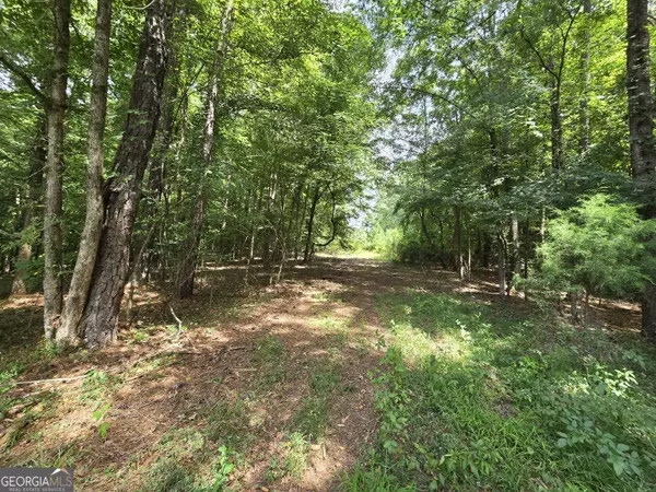 Junction City, GA 31812,0 James Posey RD