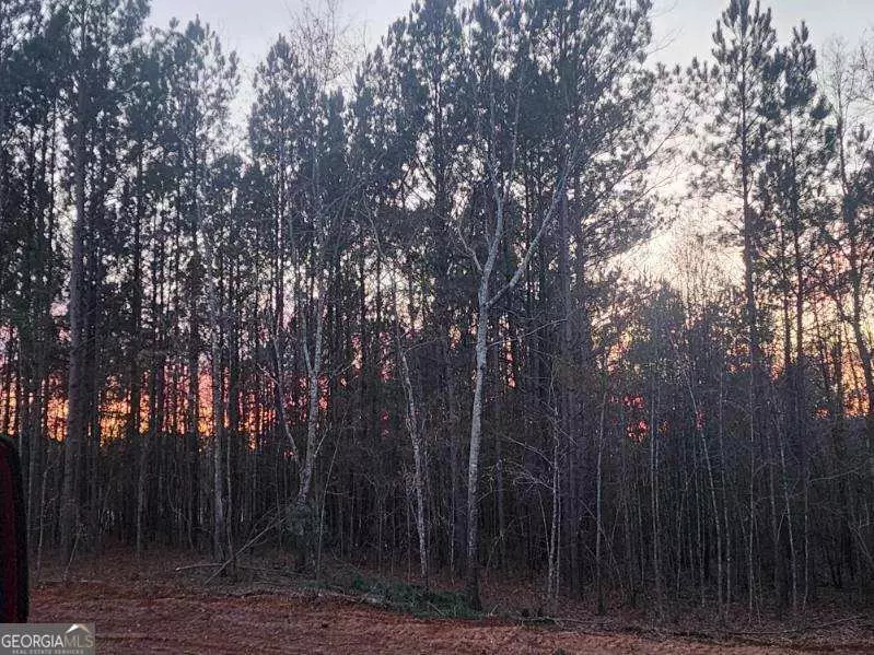 Forsyth, GA 31029,655 Parks RD