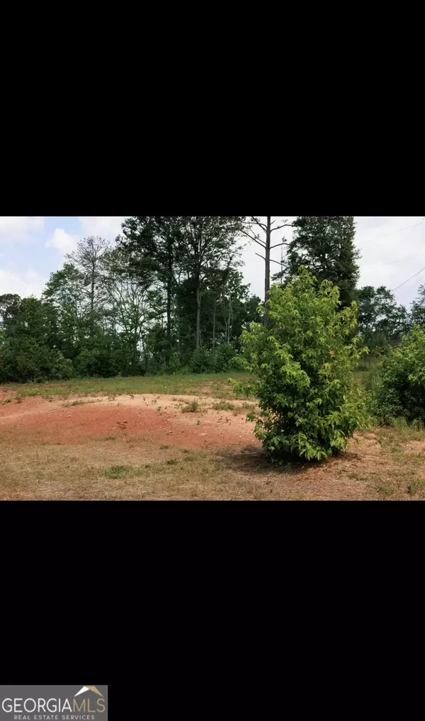 Roopville, GA 30170,23601 Ga Highway 100