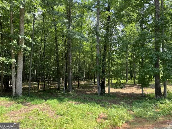 Moreland, GA 30259,0 Bears Bend LOT 5