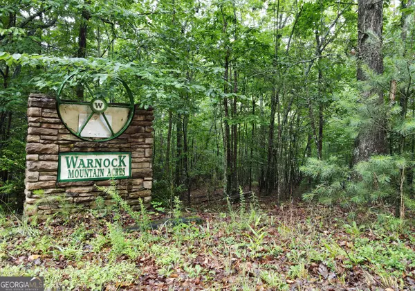 Blairsville, GA 30512,LL322 Warnock Mountain Acres Lane