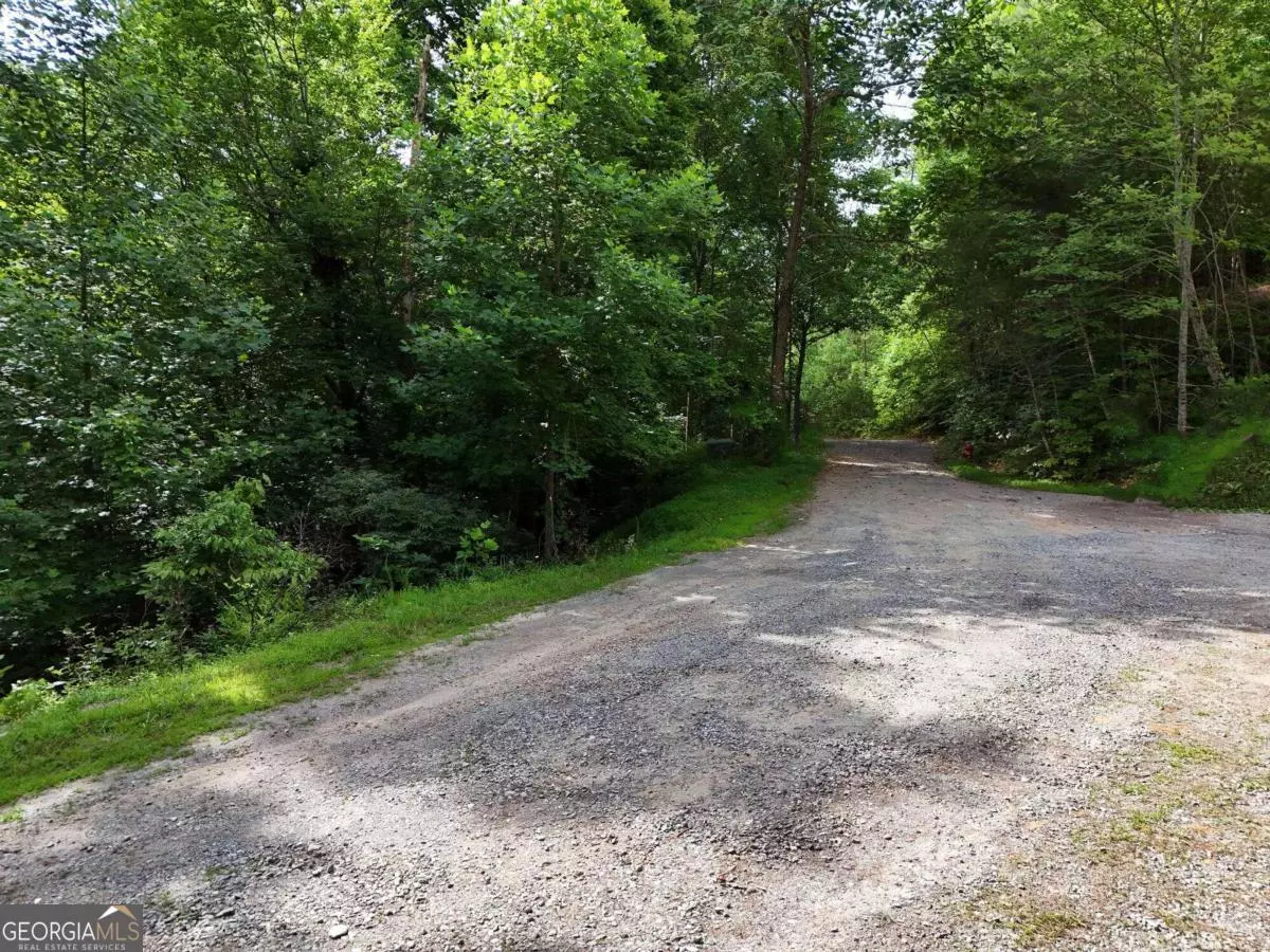 Blue Ridge, GA 30513,LOT 25 Toccoa Preserve