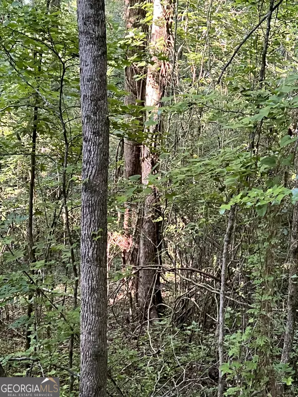 Monticello, GA 31064,0 Jordan Road