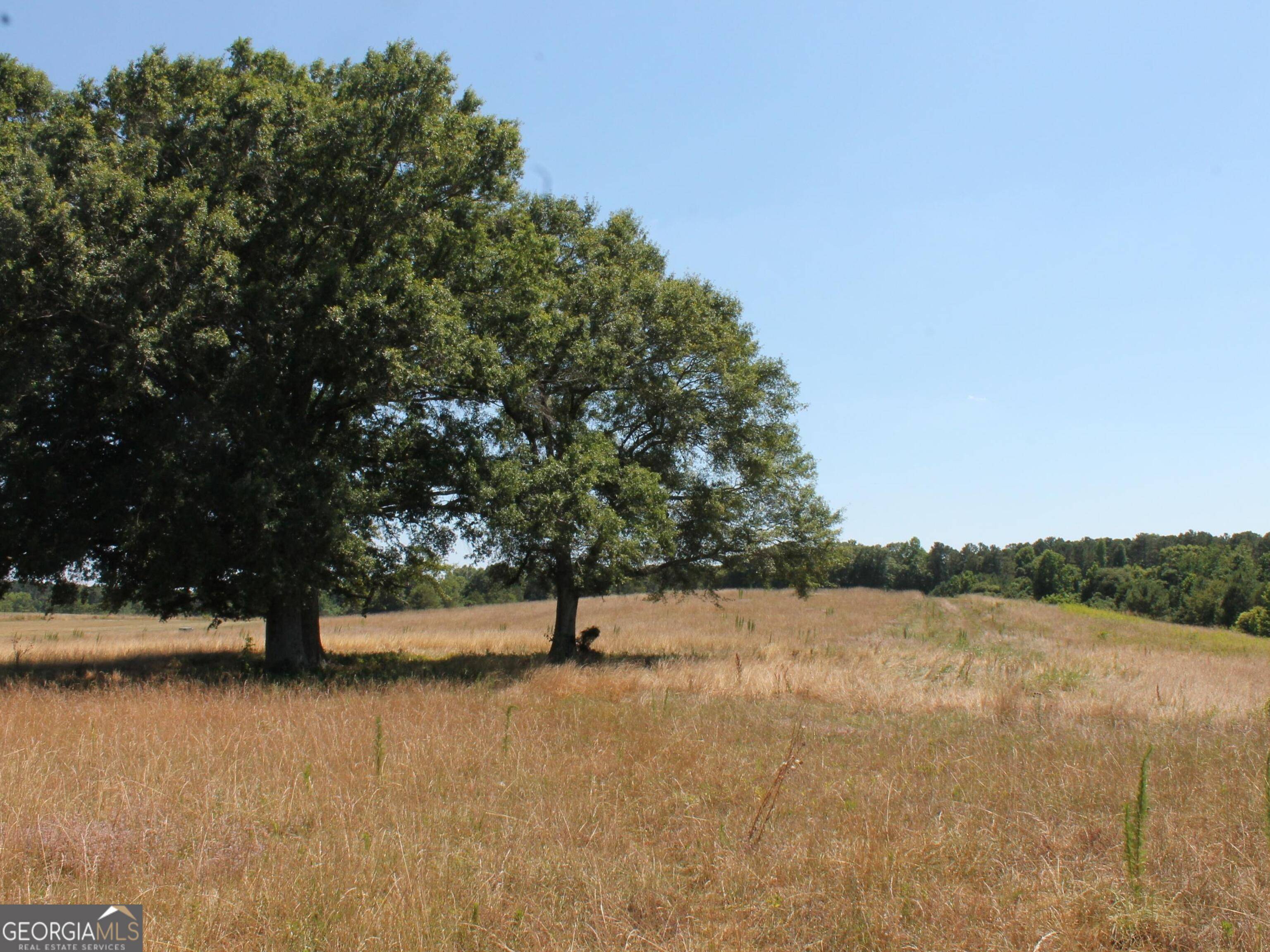 Madison, GA 30650,0 Sandy Creek RD #TRACT 4