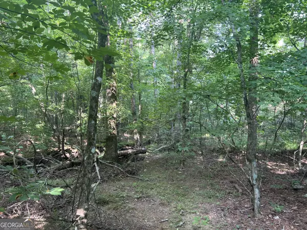 Ranger, GA 30734,0 Nicklesville RD NE