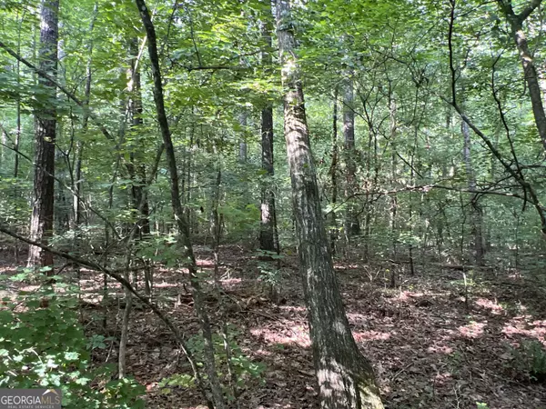 Ranger, GA 30734,0 Nicklesville RD NE
