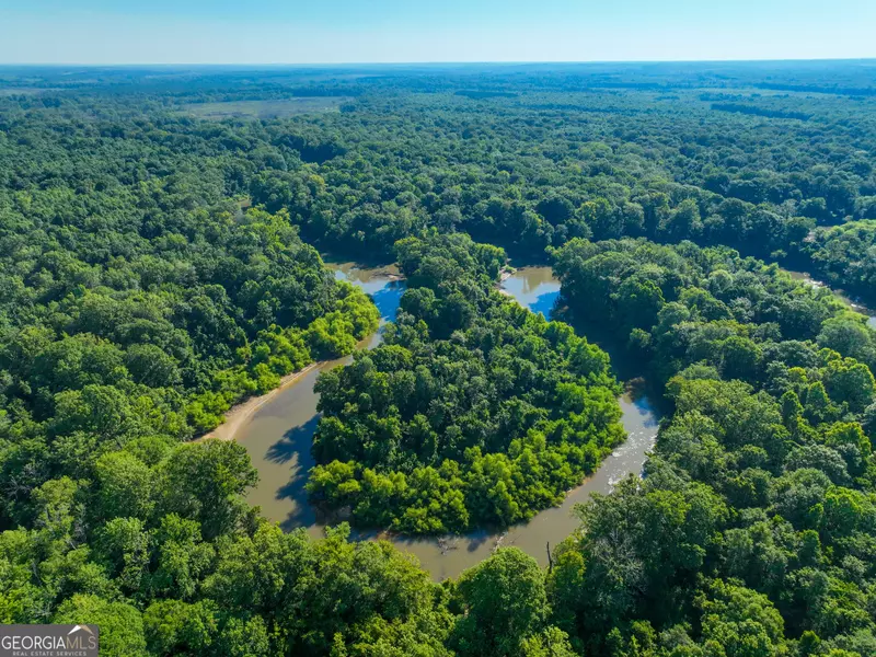 0 Hwy 96 West, Dry Branch, GA 31020