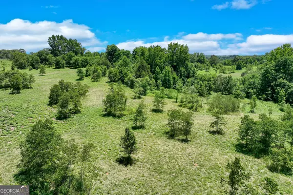 38 Cromer RD, Dewy Rose, GA 30634