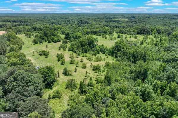 Dewy Rose, GA 30634,40 Cromer RD