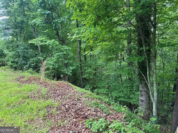 Ellijay, GA 30540,LOT 40 Timberwalk