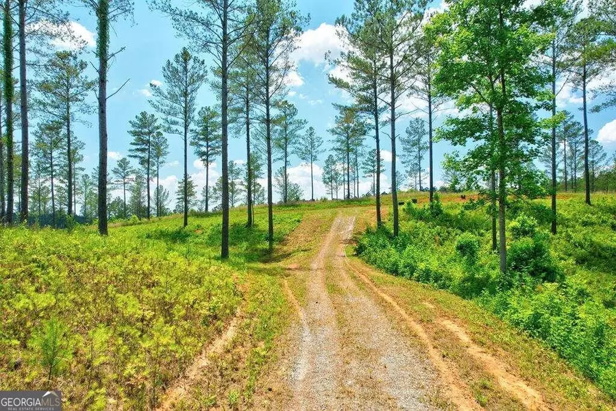 LOT 10 High River RD #10, Ellijay, GA 30540