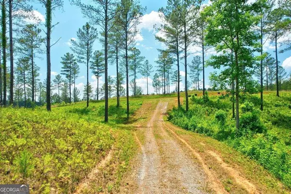 Ellijay, GA 30540,LOT 10 High River RD #10