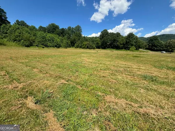 Young Harris, GA 30582,LOT 8,9 Willow Pond