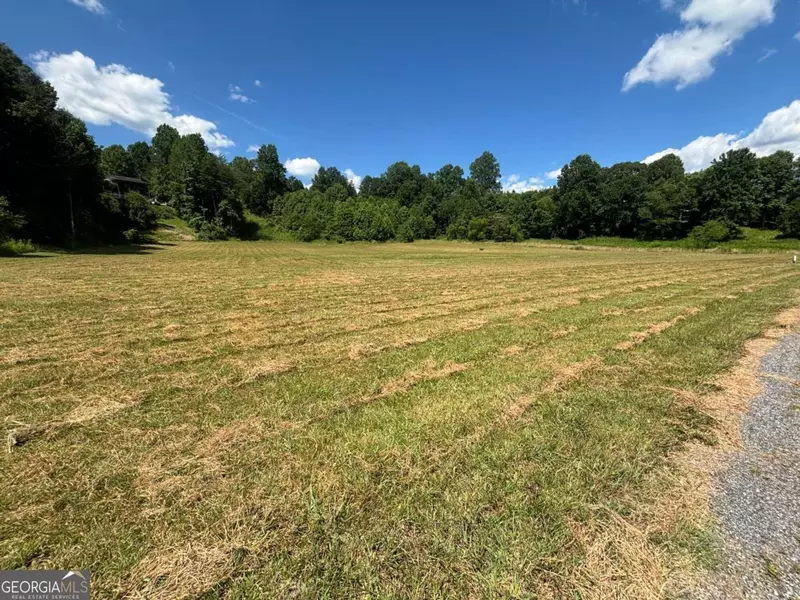 LOT 8, 9 Willow Pond, Young Harris, GA 30582