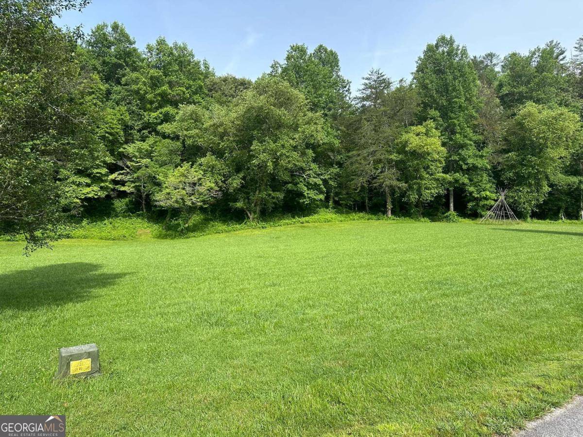 Warne, NC 28909,LOT 43 Prosperity DR