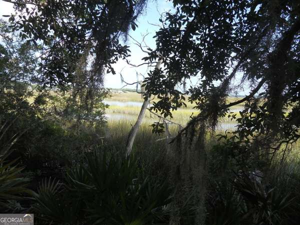 0 Woodstork PL, Kingsland, GA 31548
