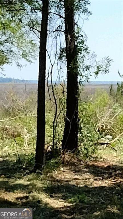 Townsend, GA 31331,0 Briar Patch Lot #28 PL