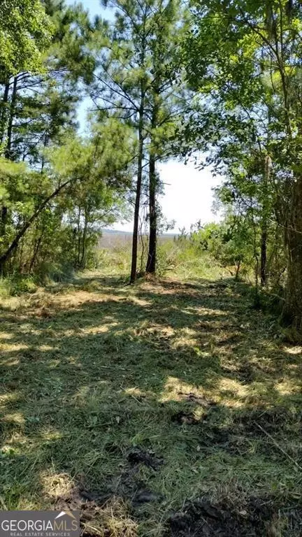 Townsend, GA 31331,0 Briar Patch Lot#27