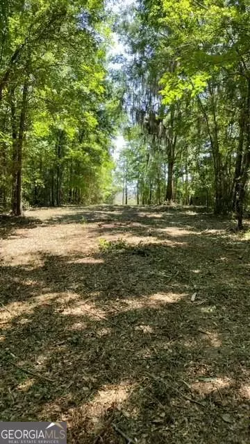 Townsend, GA 31331,0 Briar Patch Lot #30