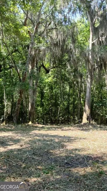 Townsend, GA 31331,0 Briar Patch Lot #30