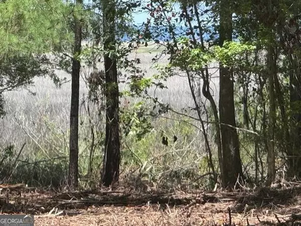 Townsend, GA 31331,0 N Briar Patch PL #LOT 22