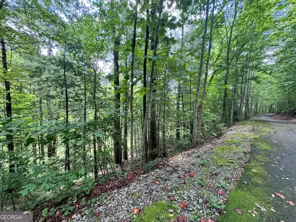 Clayton, GA 30525,LOT 102 Kingwood Court