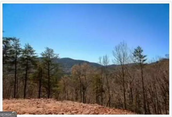 Blue Ridge, GA 30513,0 Clearview Mountain