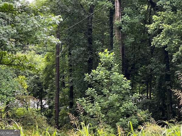 H 11 Woodlawn PL, Rex, GA 30273