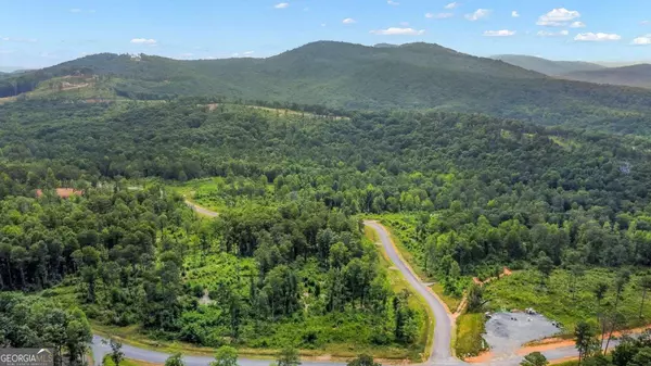Talking Rock, GA 30175,LOT 207 Oak Park DR