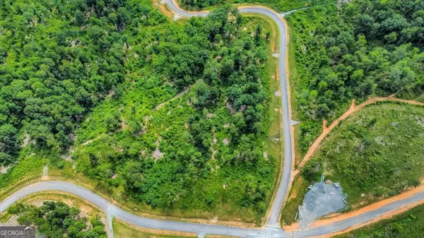 Talking Rock, GA 30175,LOT 207 Oak Park DR